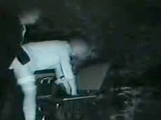 Japan's Hot and Humid Public Sex in the Lush Greenery of Tokyo or China