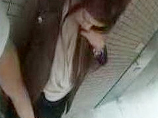 Fucking a Nippon slut's pussy and tits in public